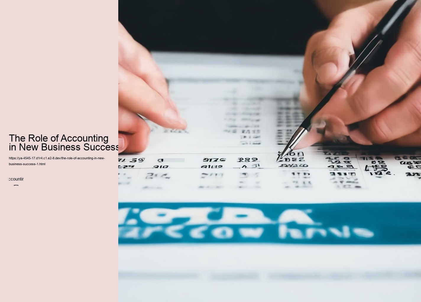 The Role of Accounting in New Business Success